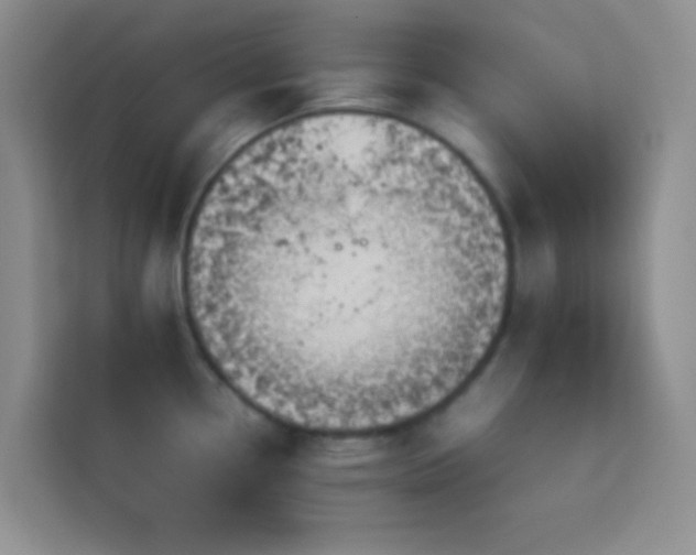 X0000114151338200910081325