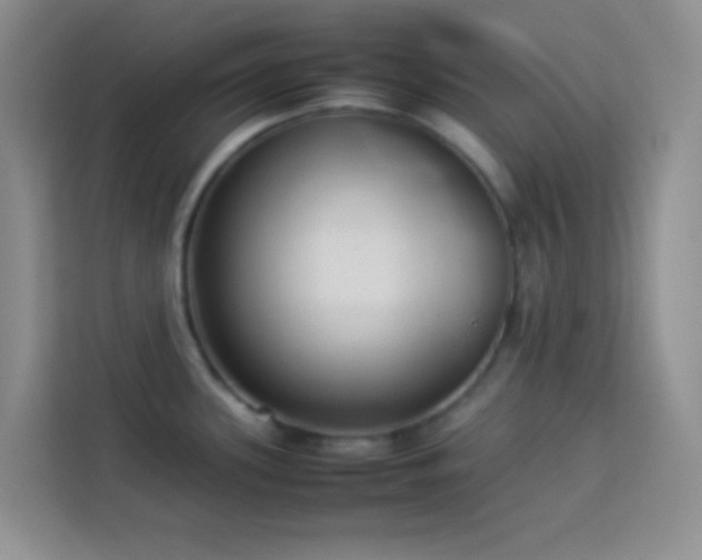 X0000114151339200910081325