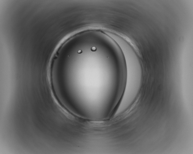 X0000114151342200910081325