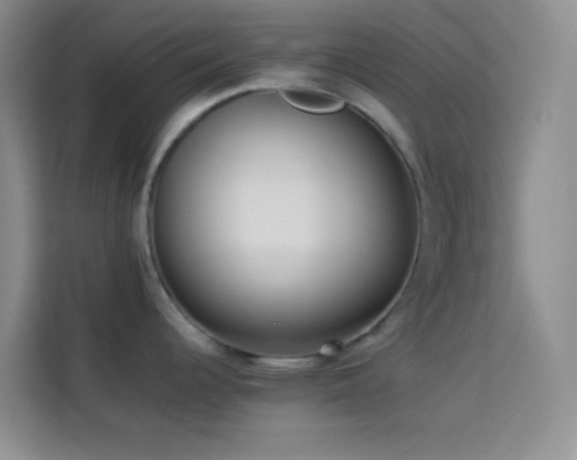 X0000114151344200910081325