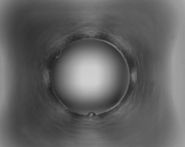 X0000114151347200910081325