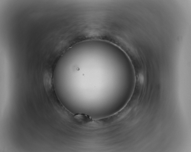 X0000114151348200910081325