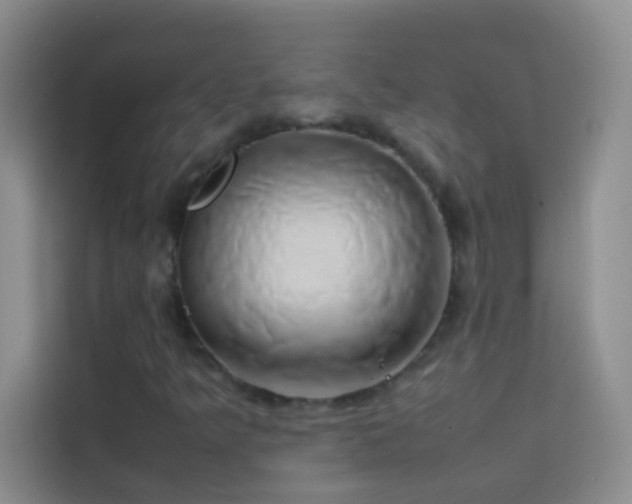 X0000114151349200910081325
