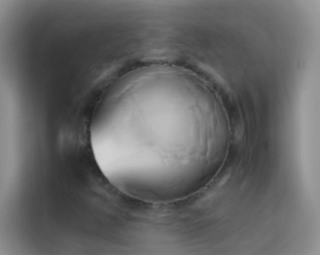 X0000114151350200910081325