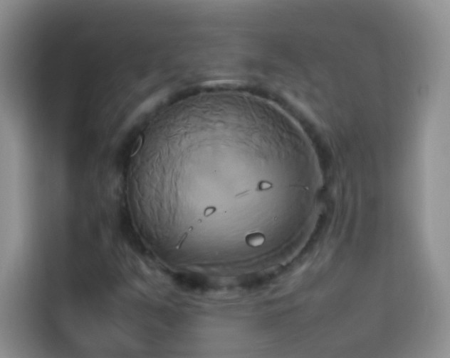 X0000114151351200910081325