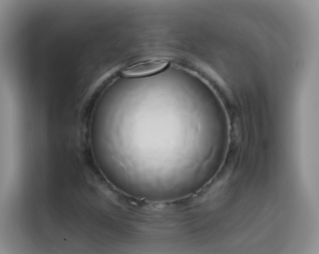 X0000114151352200910081325