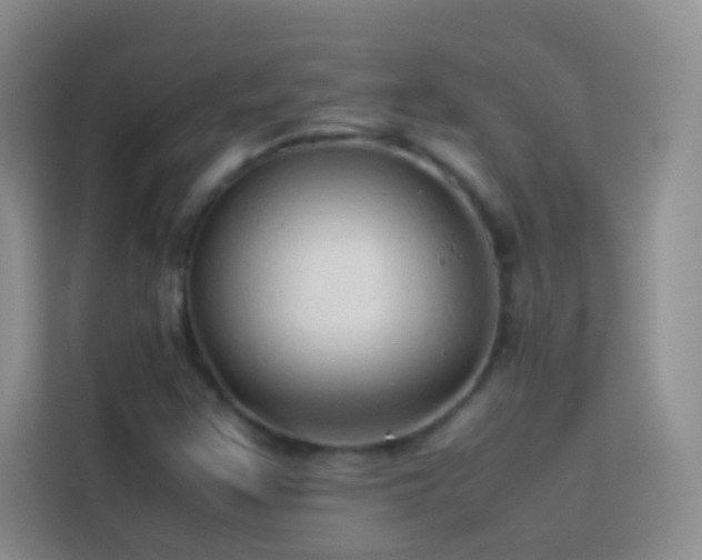 X0000114151355200910081324