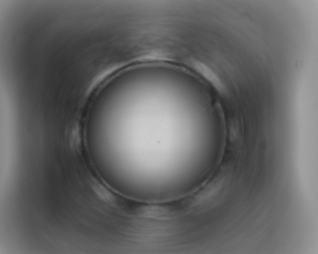 X0000114151356200910081324