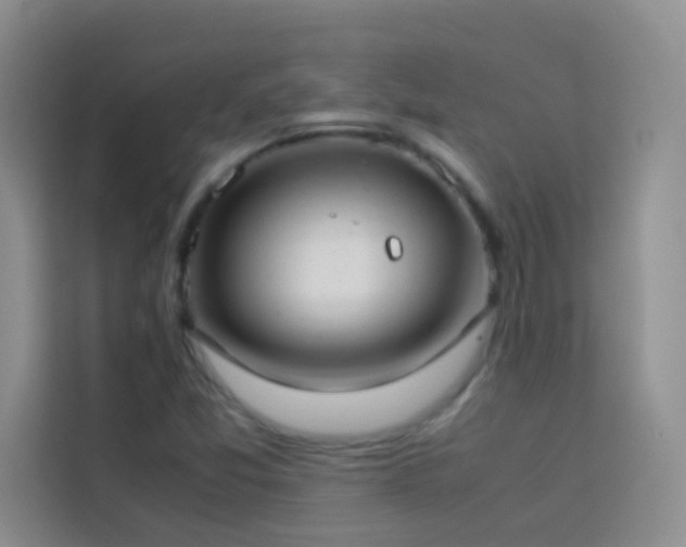 X0000114151357200910081324