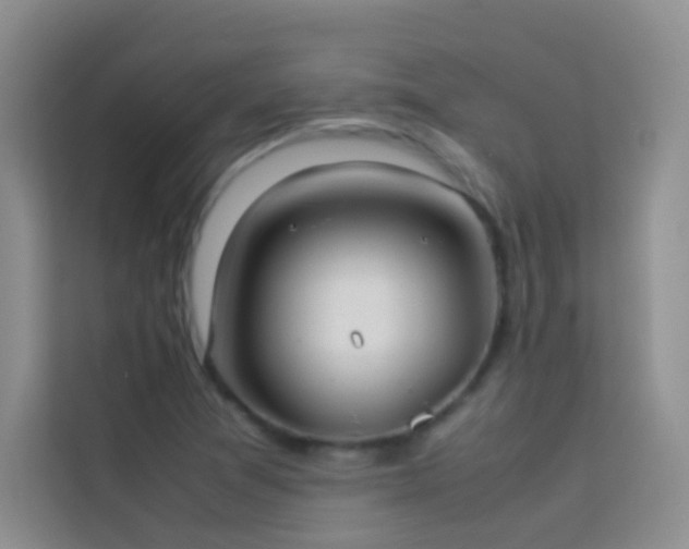 X0000114151361200910081324