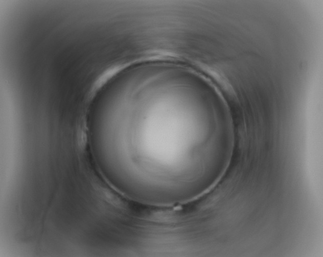 X0000114151363200910081324