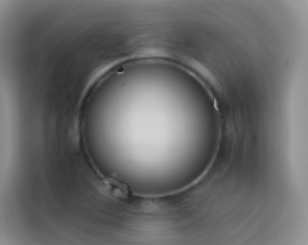 X0000114151364200910081324
