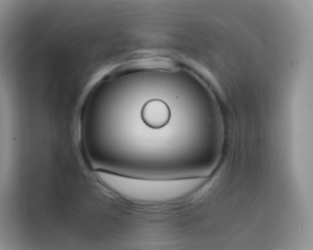 X0000114151365200910081324