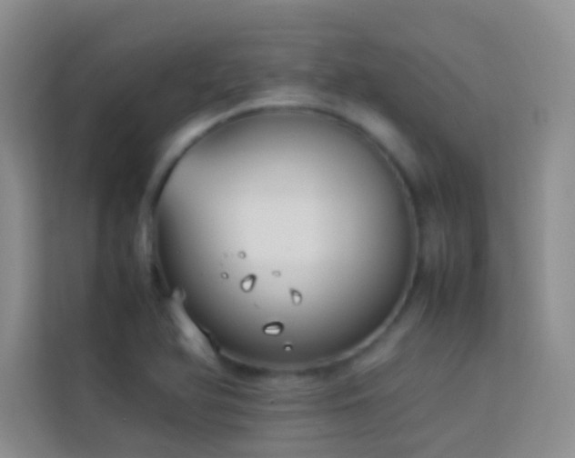 X0000114151366200910081324
