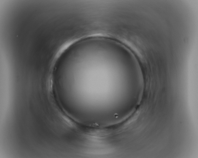 X0000114151367200910081324