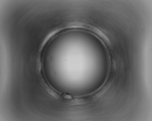 X0000114151368200910081324
