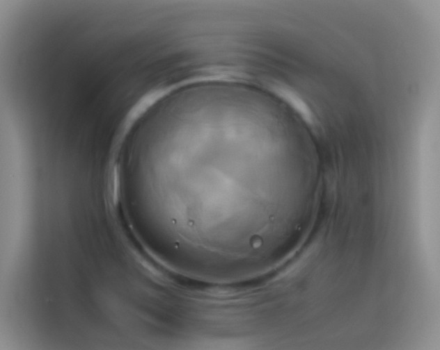 X0000114151371200910081324