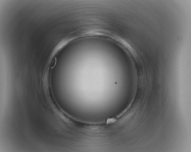 X0000114151373200910081324