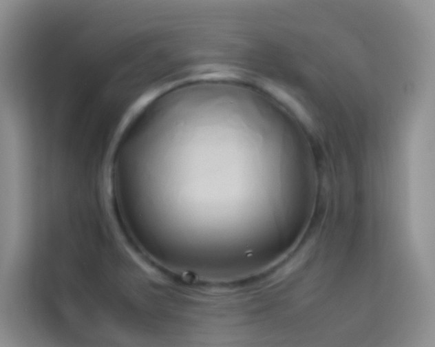 X0000114151375200910081324