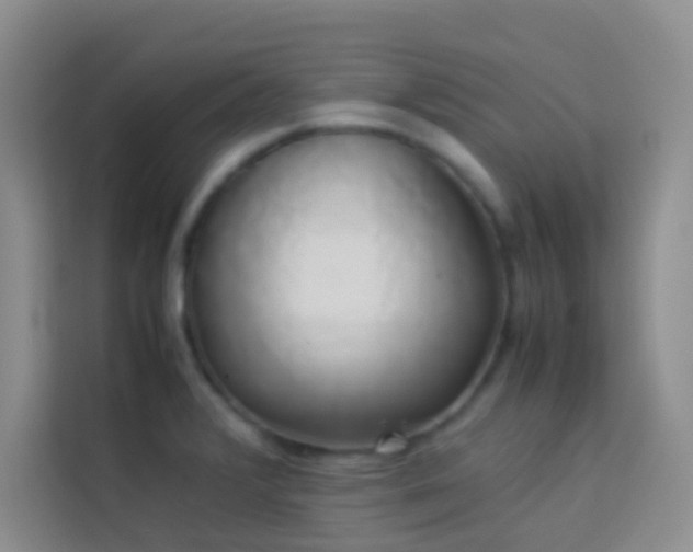 X0000114151376200910081324