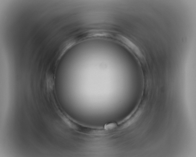 X0000114151377200910081324