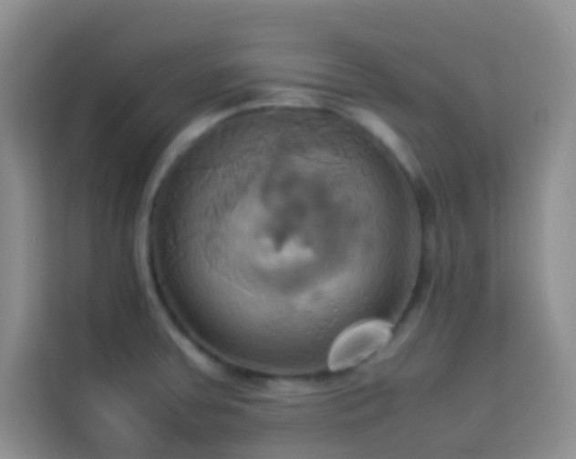 X0000114151379200910081324