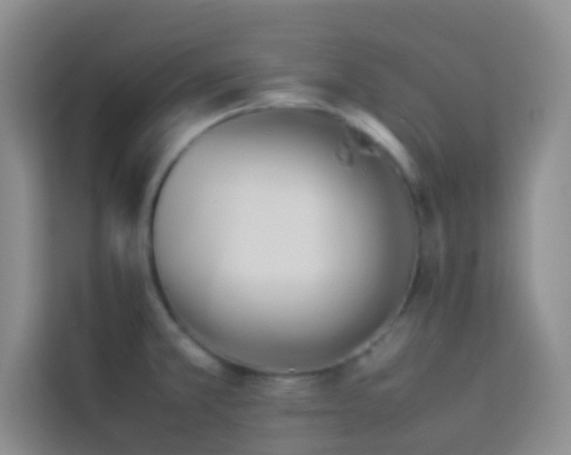 X0000114151381200910081324