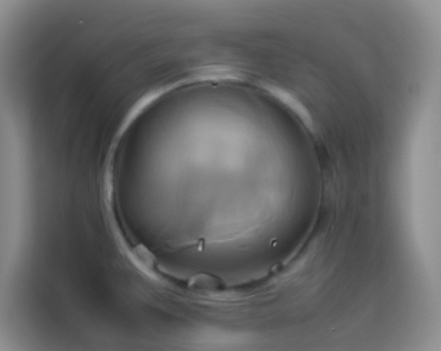 X0000114151383200910081324