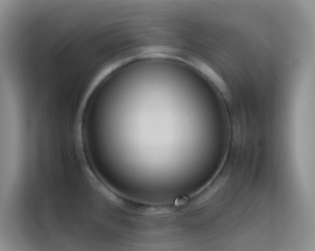 X0000114151384200910081324