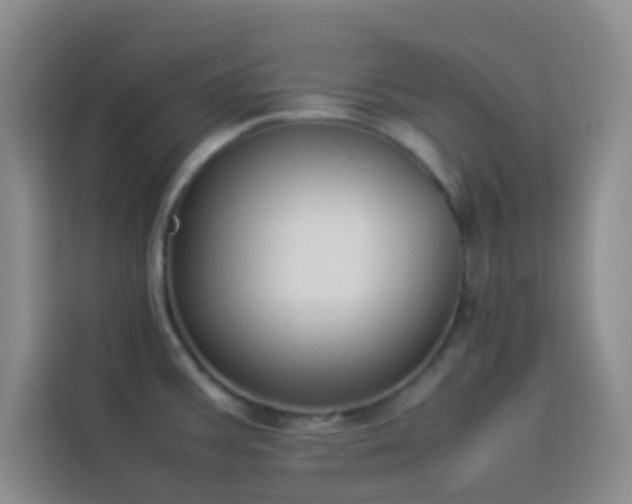 X0000114151387200910081324