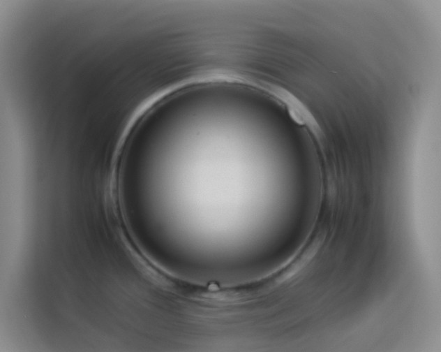 X0000114151388200910081324