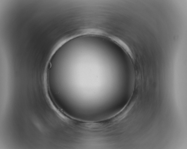 X0000114151391200910081324
