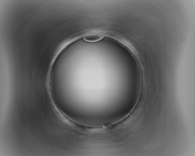 X0000114151392200910081324