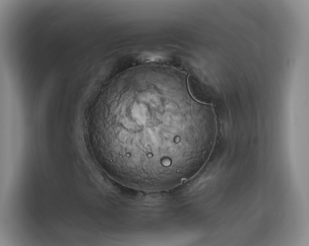 X0000114151393200910081323