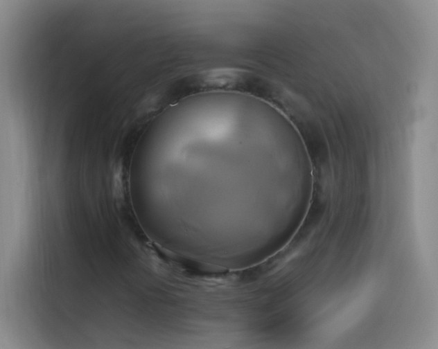 X0000114151394200910081323