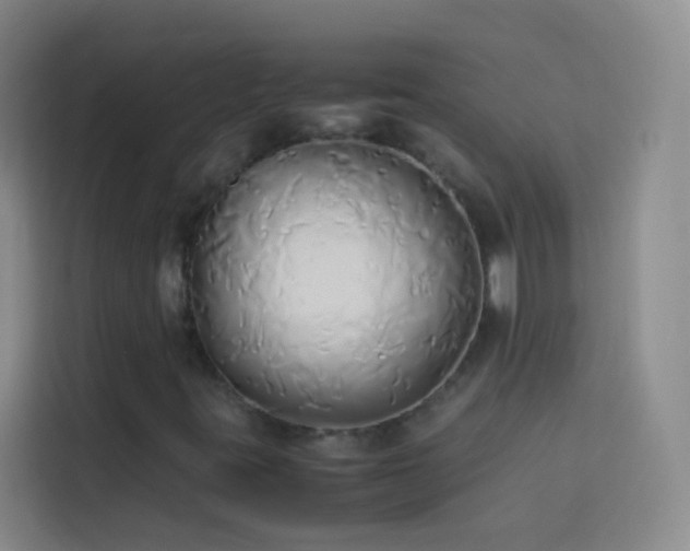 X0000114151395200910081323
