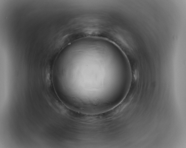 X0000114151396200910081323