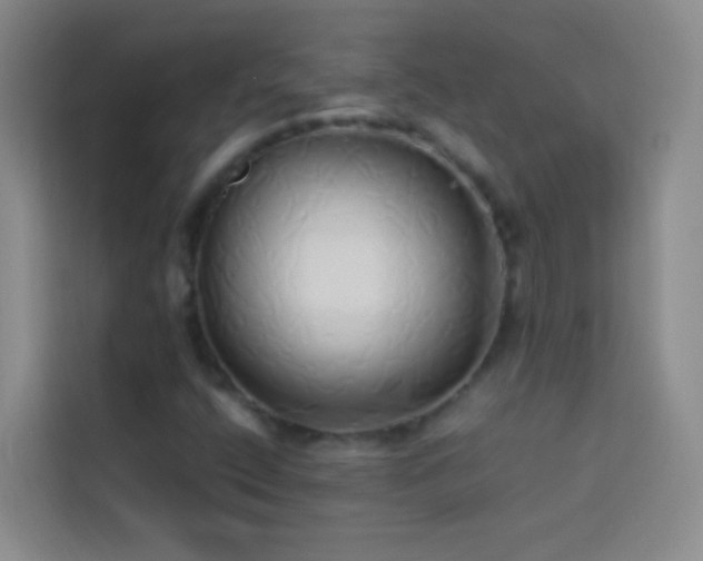 X0000114151400200910081323