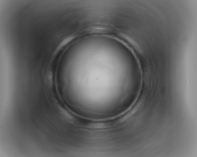 X0000114151402200910081323