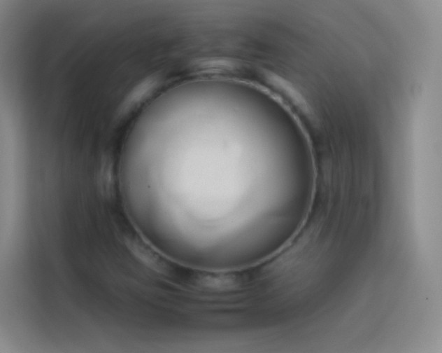 X0000114151403200910081324