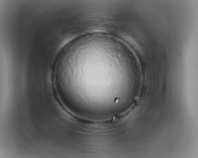 X0000114151404200910081324