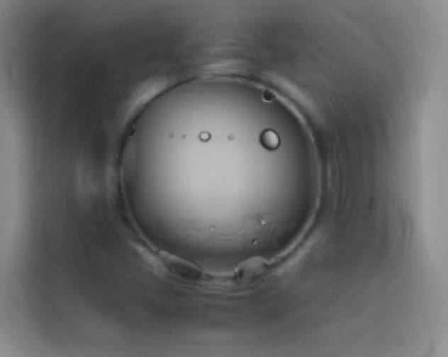 X0000114151405200910081324