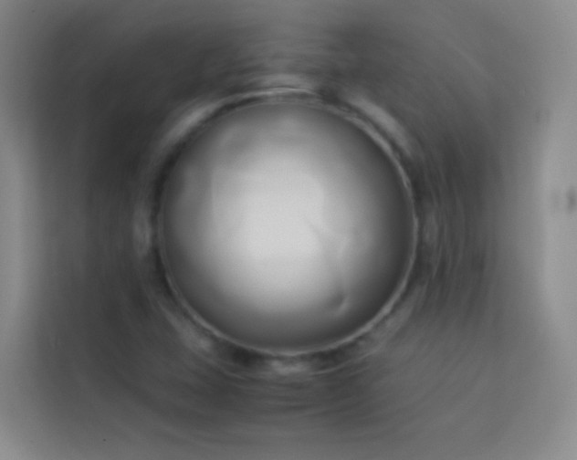 X0000114151407200910081324