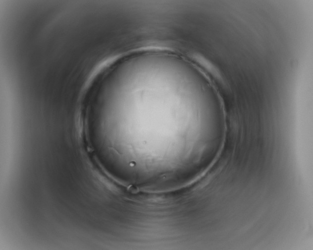 X0000114151408200910081324