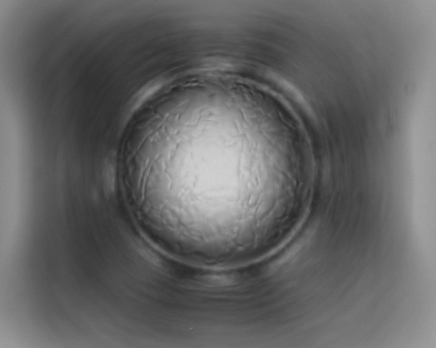X0000114151409200910081324