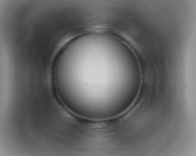 X0000114151410200910081324