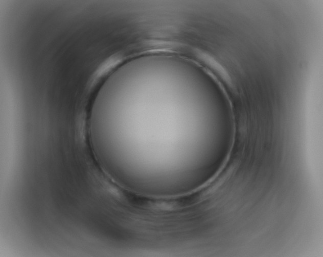 X0000114151411200910081324