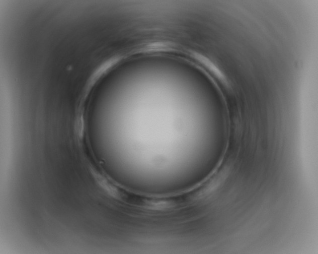 X0000114151413200910081324