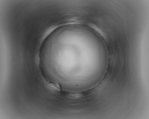 X0000114151415200910081324