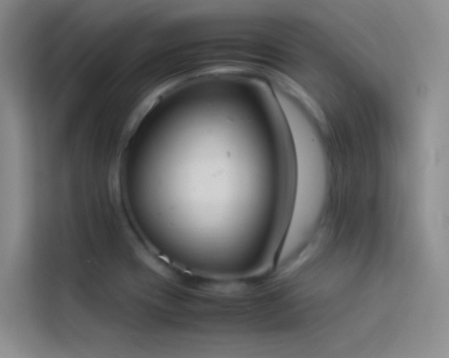 X0000114151417200910081324